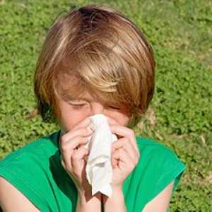 Alergijski kašelj pri otroku