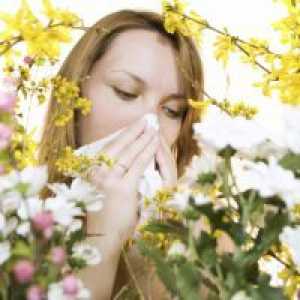 Trava cvetni prah alergija