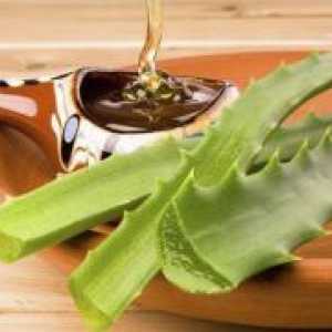 Aloe z medom - Recepti za želodec