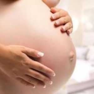 Testi med nosečnostjo