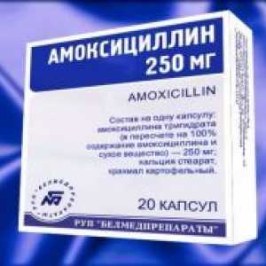 Antibiotik amoksicilin
