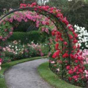 Arches za vrt