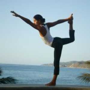Ashtanga Vinyasa joge