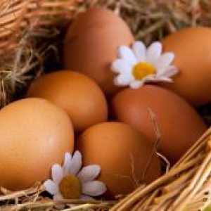 Jajčni protein - kalorij