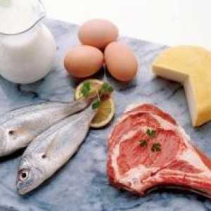 Beljakovine v živilih