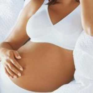 Bras za nosečnice
