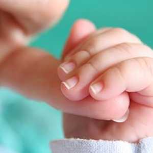 Kaj morate vedeti o novorojenih refleksov