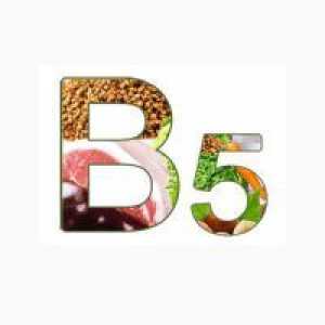 Kaj telo potrebuje vitamin B5?