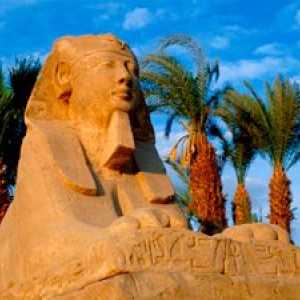 Turistični Egipt: foto, video