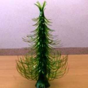 Božično drevo iz plastenk