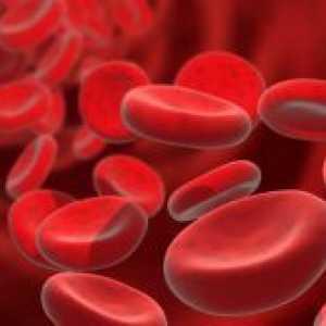 Hemoglobin - norma pri ženskah, starejših od
