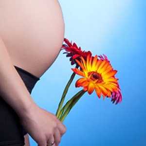 Skrb za nosečnice: pomembne nianse