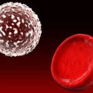 Glikoziliranega hemoglobina - norma