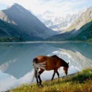 Altai Mountains - Znamenitosti