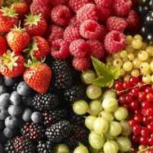 Berry prehrana