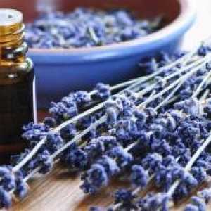 Lavender eterično olje