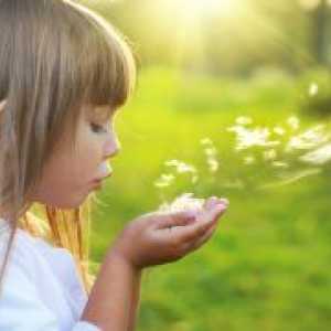 Ekološka vzgoja predšolskih otrok