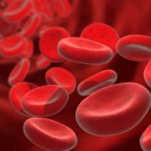 Rdeče krvne celice v krvi - norma