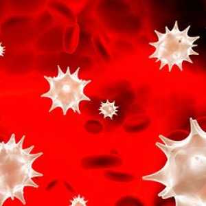 Rdeče krvne celice v krvi otroka