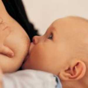Kako pogosto naj hranim novorojenčka z materinim mlekom?