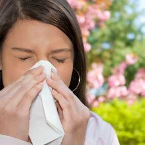 Kako se znebiti odziva telesa, da alergije