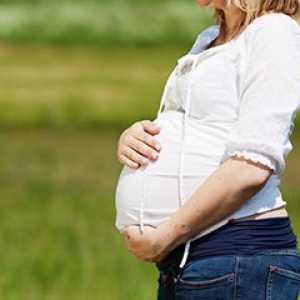 Kako endometrij med nosečnostjo