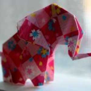 Kako narediti papir iz slona?