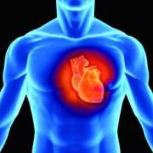 Kako okrepiti srce in ožilje?