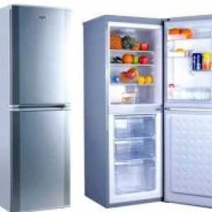 Kako izbrati hladilnik?