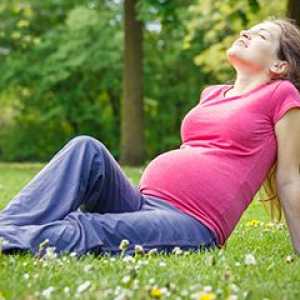 Katere teste opraviti v nosečnosti