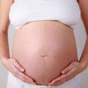 Petrifies želodec med nosečnostjo