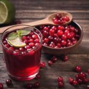 Cranberry - koristi in škoduje