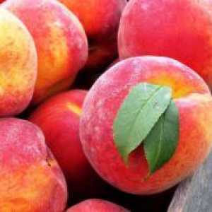 Peach kompot s kostmi