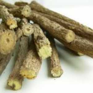 Licorice koren - zdravilne lastnosti in kontraindikacije