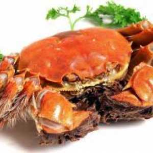 Crab meso - koristi in škoduje