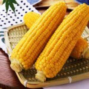 Corn multivarka nekaj