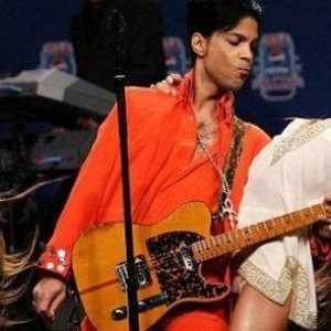 Osebno življenje pevec Prince
