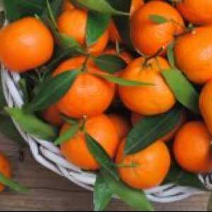 Mandarine hujšanje