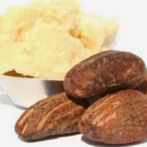 Kakavovo maslo - Lastnosti in aplikacije