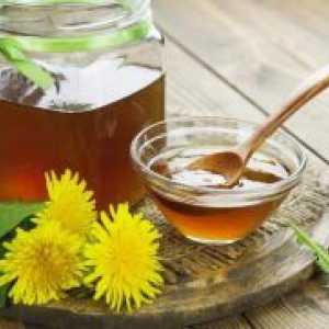 Honey Dandelion - koristi in škoduje