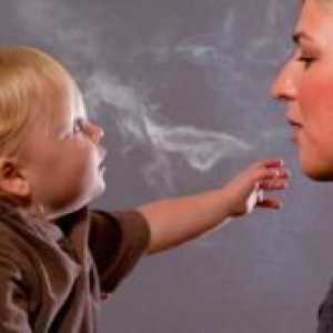 Ali lahko dim doječe matere?