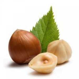 Nuts lešniki - koristi in škoduje