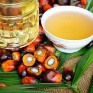 Palmovo olje - koristi in škoduje zdravju