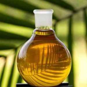 Palmovo olje - koristi in škoduje