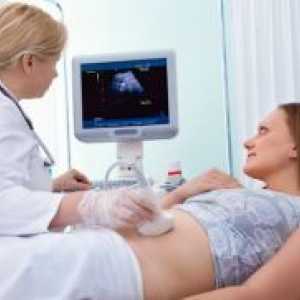 Prvi ultrazvok v nosečnosti