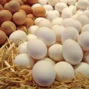 Hranilna vrednost jajc