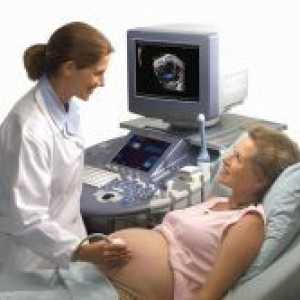 Redno ultrazvok med nosečnostjo