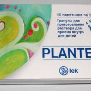 PLANTEX Baby