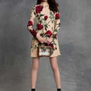Dolce & Gabbana obleko z vrtnicami