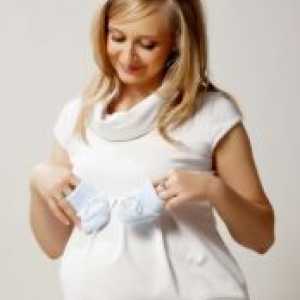 Obleke za nosečnice 2013